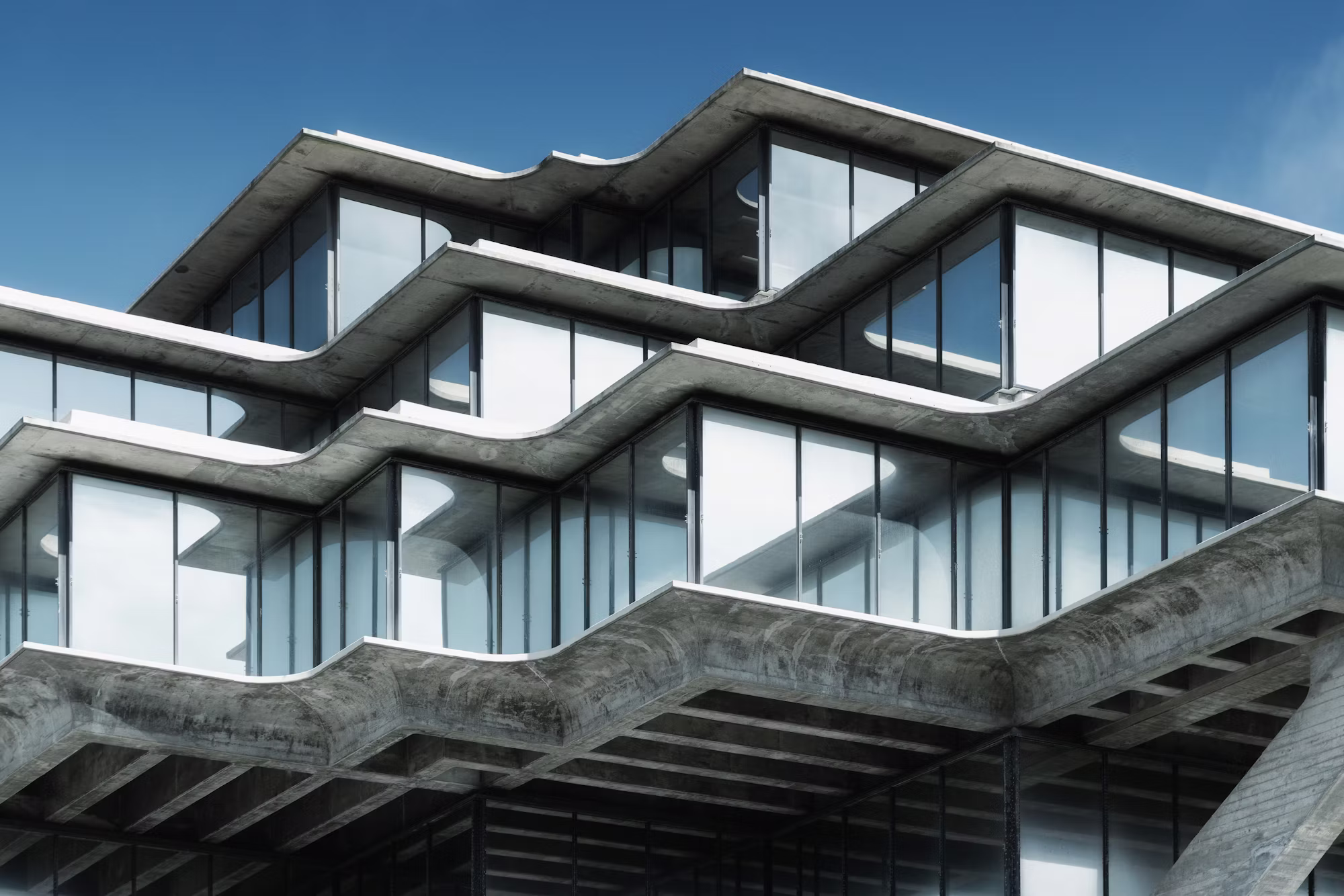 Empowering Communities Through Knowledge: The Role of Libraries